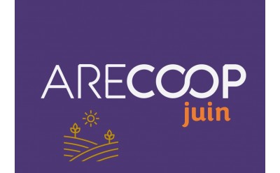 Formations du mois • Juin 2024
